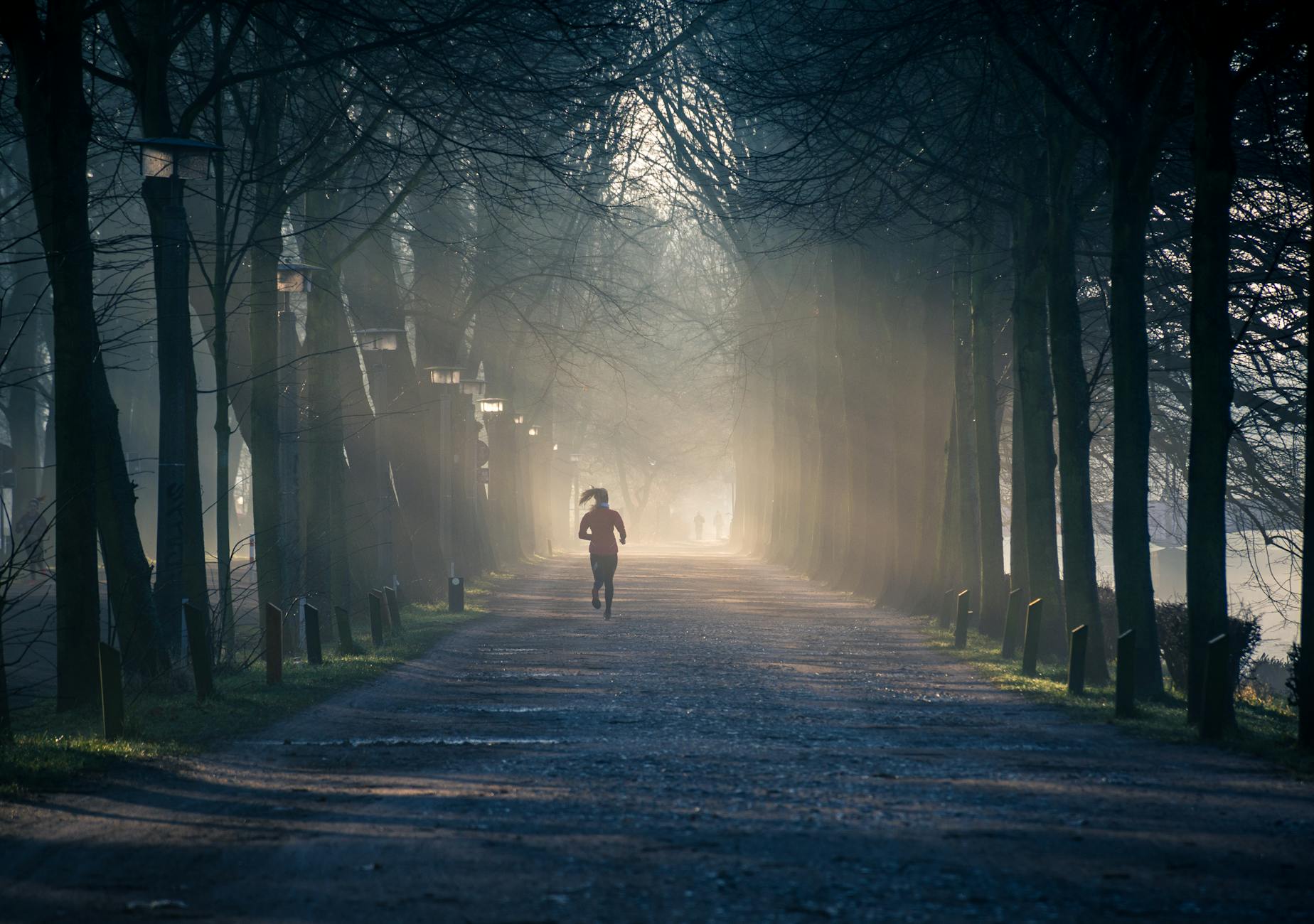 https://www.pexels.com/photo/person-running-near-street-between-tall-trees-878151/